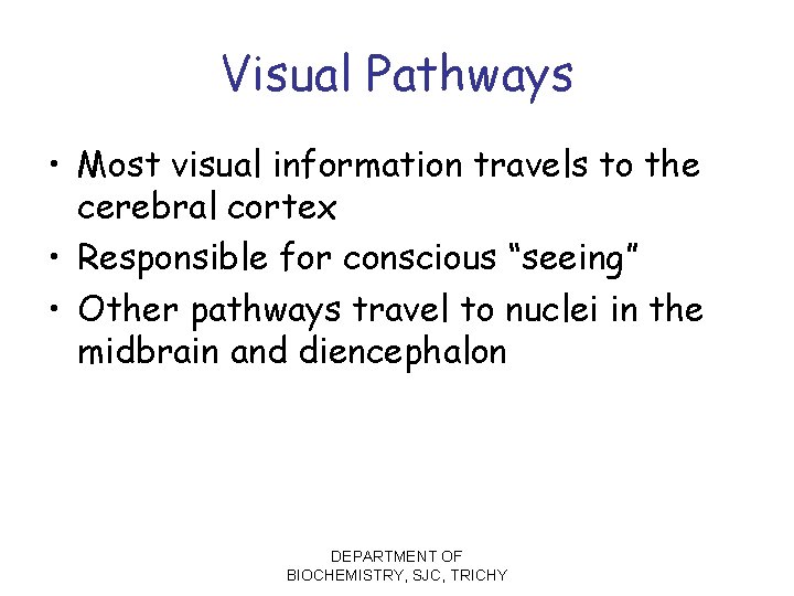 Visual Pathways • Most visual information travels to the cerebral cortex • Responsible for