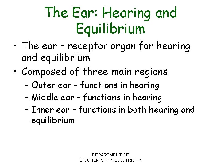 The Ear: Hearing and Equilibrium • The ear – receptor organ for hearing and