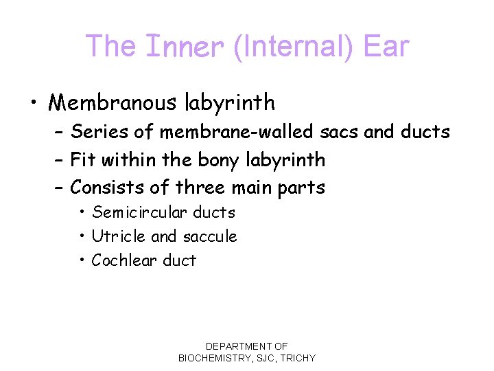 The Inner (Internal) Ear • Membranous labyrinth – Series of membrane-walled sacs and ducts