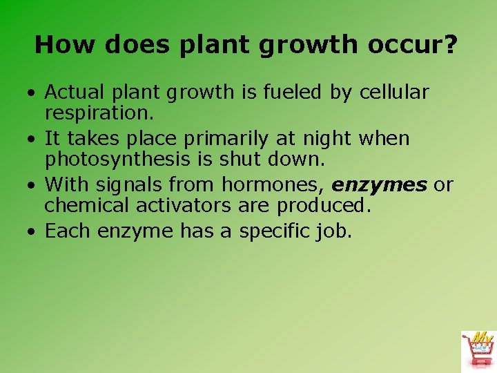 How does plant growth occur? • Actual plant growth is fueled by cellular respiration.