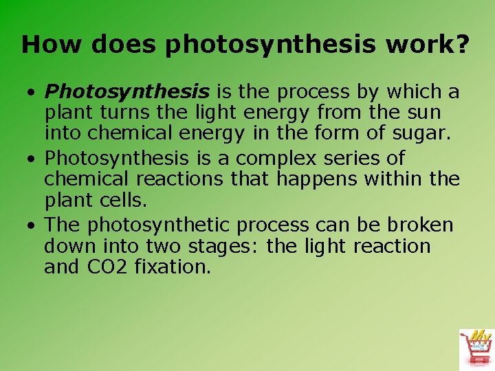 How does photosynthesis work? • Photosynthesis is the process by which a plant turns
