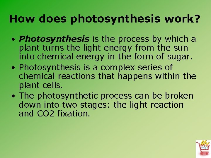 How does photosynthesis work? • Photosynthesis is the process by which a plant turns