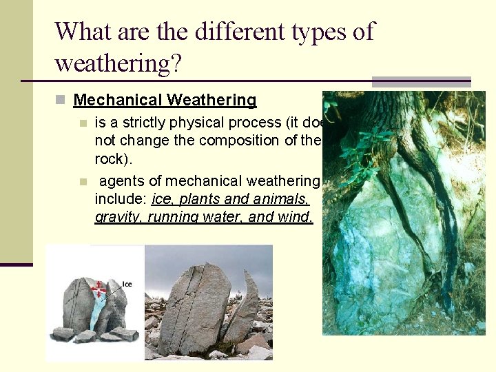 What are the different types of weathering? n Mechanical Weathering n is a strictly