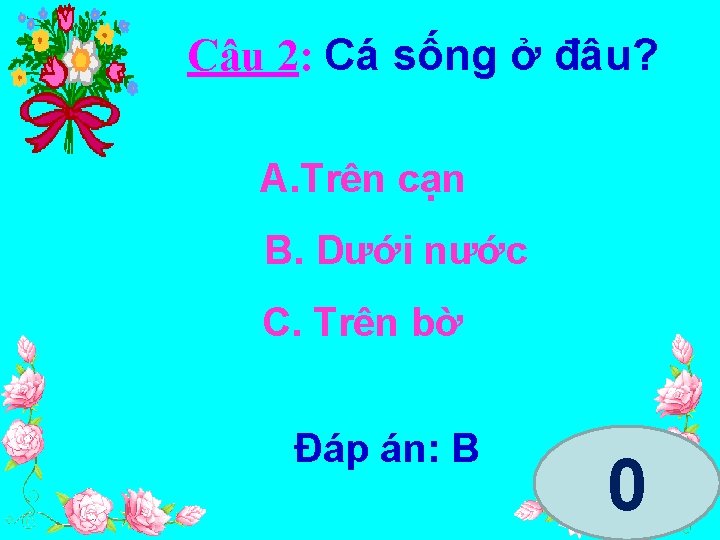 Câu 2: Cá sống ở đâu? A. Trên cạn B. Dưới nước C. Trên