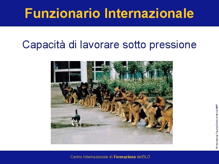 Funzionario Internazionale © International Training Centre of the ILO 2007 Capacità di lavorare sotto