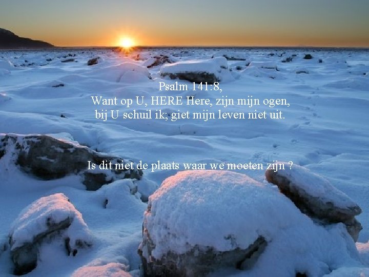 Psalm 141: 8, Want op U, HERE Here, zijn mijn ogen, bij U schuil
