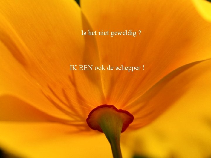 Is het niet geweldig ? IK BEN ook de schepper ! 