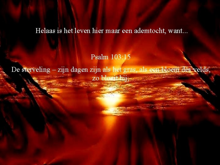 Helaas is het leven hier maar een ademtocht, want. . . Psalm 103: 15