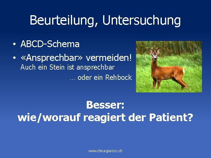 Beurteilung, Untersuchung • ABCD-Schema • «Ansprechbar» vermeiden! Auch ein Stein ist ansprechbar … oder