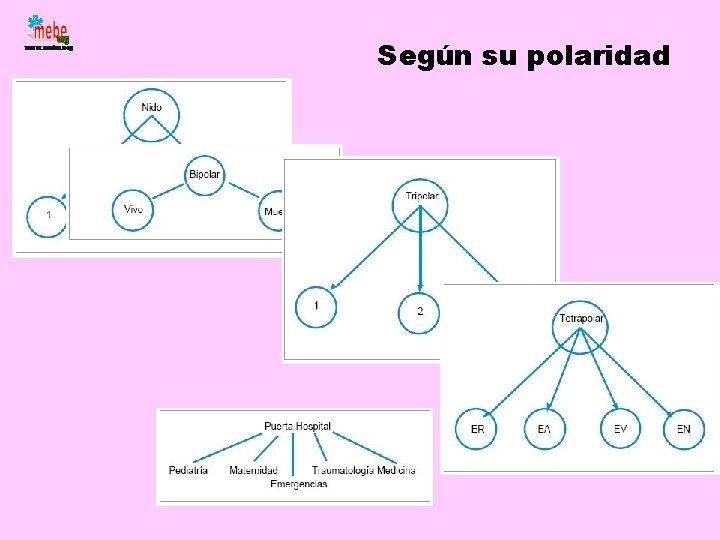 Según su polaridad 