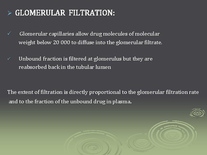 Ø GLOMERULAR FILTRATION: ü Glomerular capillaries allow drug molecules of molecular weight below 20