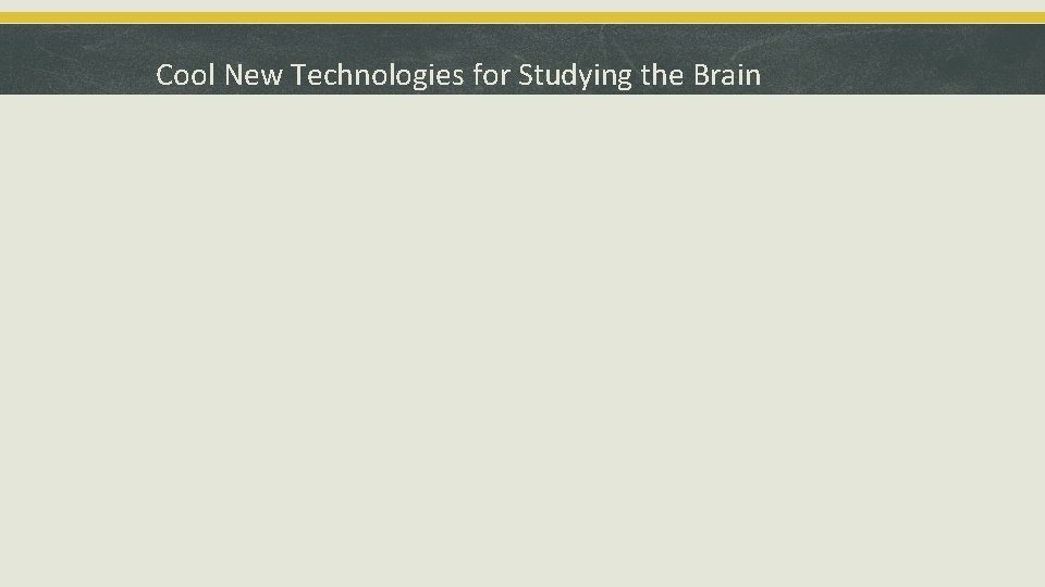 Cool New Technologies for Studying the Brain 