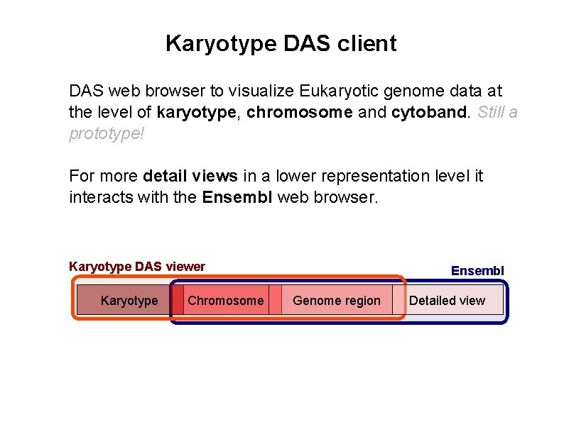 Karyotype DAS client DAS web browser to visualize Eukaryotic genome data at the level