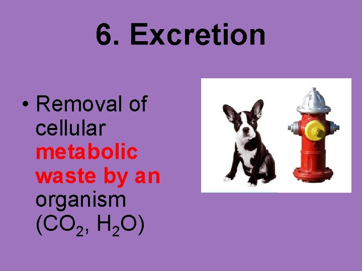 6. Excretion • Removal of cellular metabolic waste by an organism (CO 2, H