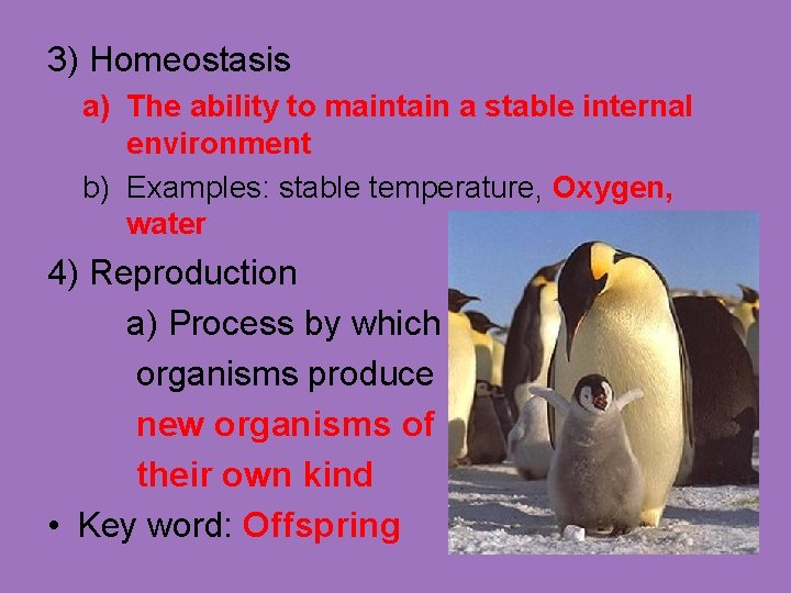 3) Homeostasis a) The ability to maintain a stable internal environment b) Examples: stable