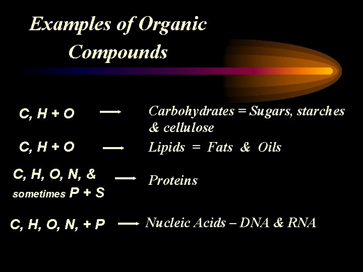 Examples of Organic Compounds C, H + O Carbohydrates = Sugars, starches & cellulose