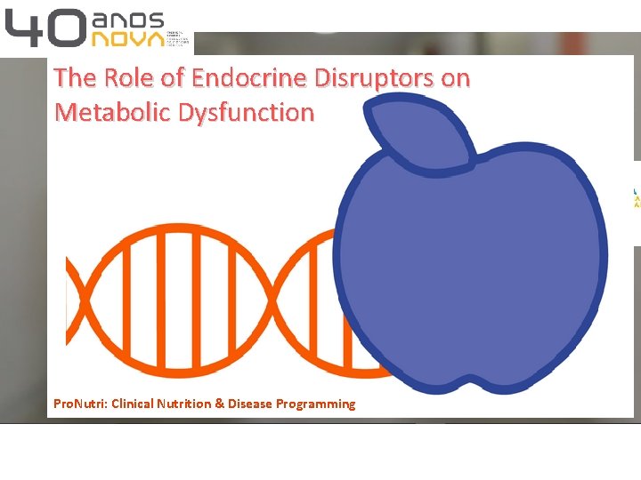 The Role of Endocrine Disruptors on Metabolic Dysfunction