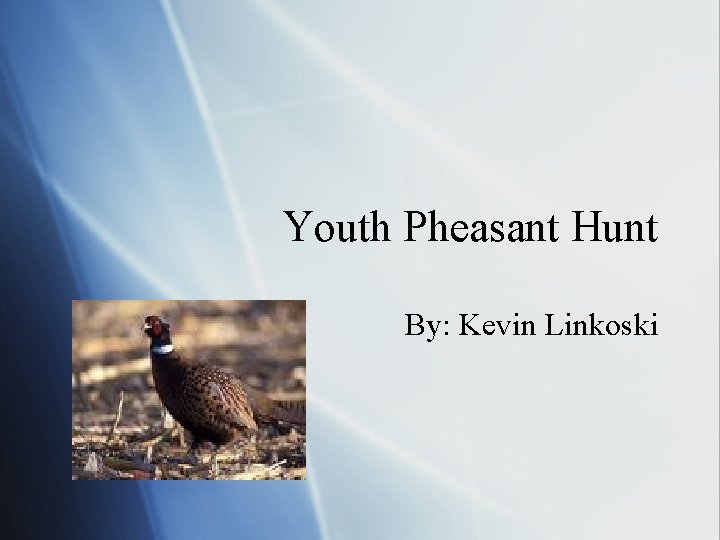 Youth Pheasant Hunt By: Kevin Linkoski 