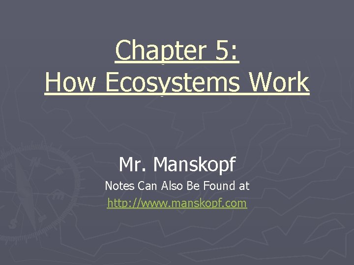 Chapter 5 How Ecosystems Work Mr Manskopf Notes