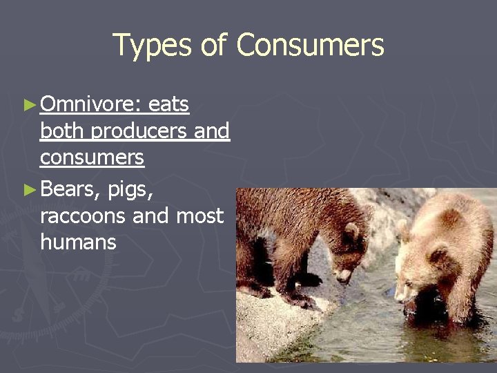 Types of Consumers ► Omnivore: eats both producers and consumers ► Bears, pigs, raccoons Types of Consumers ► Omnivore: eats both producers and consumers ► Bears, pigs, raccoons