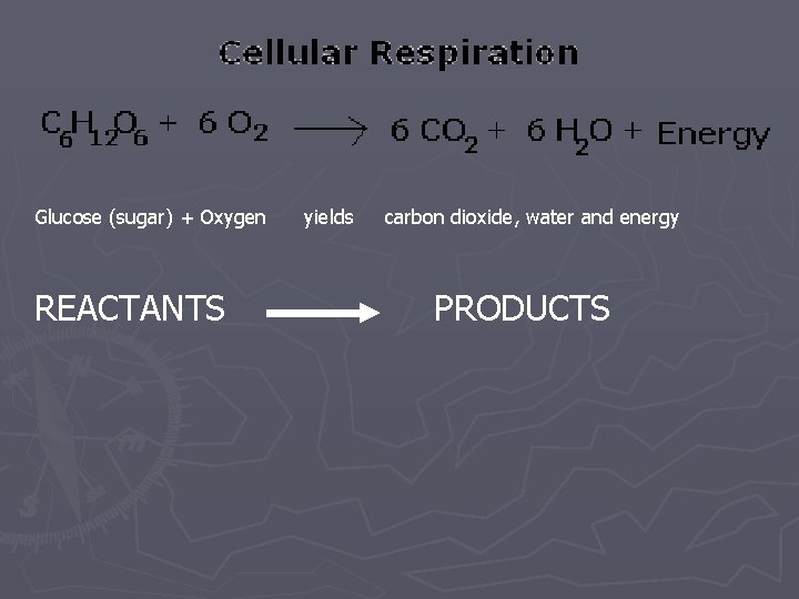 Glucose (sugar) + Oxygen REACTANTS yields carbon dioxide, water and energy PRODUCTS Glucose (sugar) + Oxygen REACTANTS yields carbon dioxide, water and energy PRODUCTS