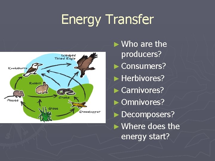 Energy Transfer ► Who are the producers? ► Consumers? ► Herbivores? ► Carnivores? ► Energy Transfer ► Who are the producers? ► Consumers? ► Herbivores? ► Carnivores? ►
