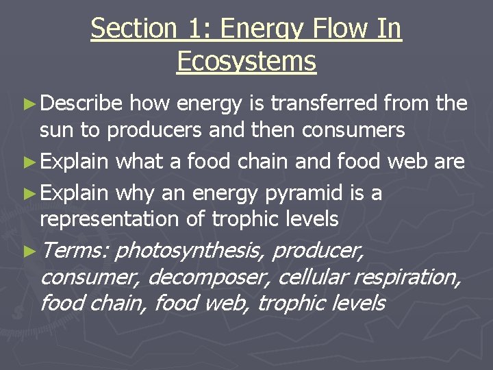 Section 1: Energy Flow In Ecosystems ► Describe how energy is transferred from the Section 1: Energy Flow In Ecosystems ► Describe how energy is transferred from the