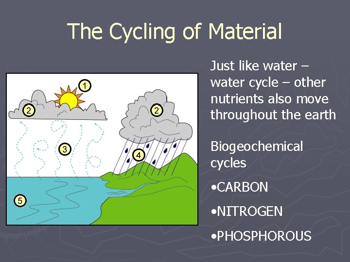 The Cycling of Material Just like water – water cycle – other nutrients also The Cycling of Material Just like water – water cycle – other nutrients also