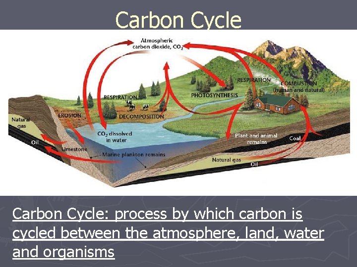 Carbon Cycle: process by which carbon is cycled between the atmosphere, land, water and Carbon Cycle: process by which carbon is cycled between the atmosphere, land, water and