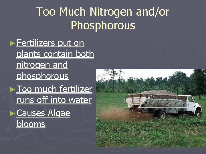 Too Much Nitrogen and/or Phosphorous ► Fertilizers put on plants contain both nitrogen and Too Much Nitrogen and/or Phosphorous ► Fertilizers put on plants contain both nitrogen and
