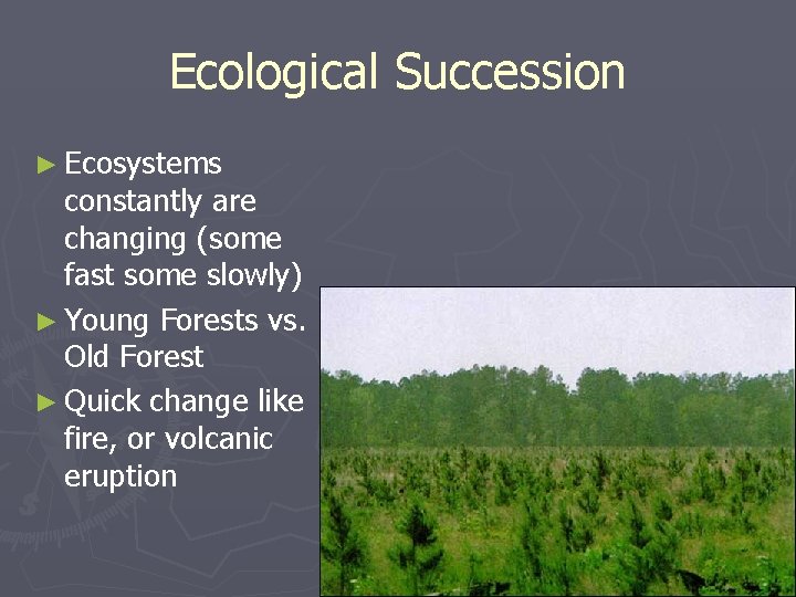 Ecological Succession ► Ecosystems constantly are changing (some fast some slowly) ► Young Forests Ecological Succession ► Ecosystems constantly are changing (some fast some slowly) ► Young Forests