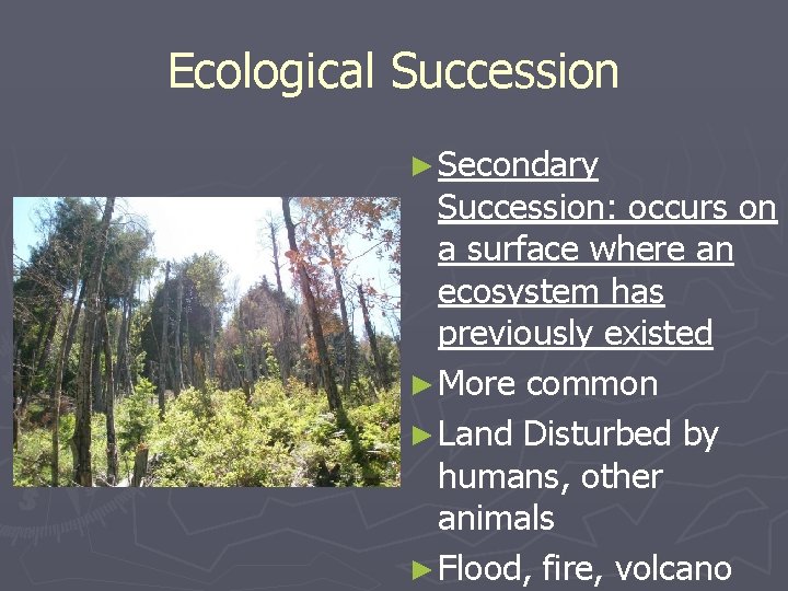 Ecological Succession ► Secondary Succession: occurs on a surface where an ecosystem has previously Ecological Succession ► Secondary Succession: occurs on a surface where an ecosystem has previously