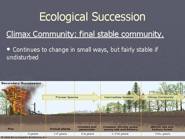 Ecological Succession Climax Community: final stable community. • Continues to change in small ways, Ecological Succession Climax Community: final stable community. • Continues to change in small ways,