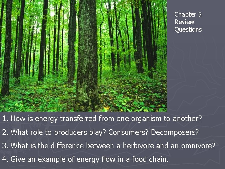 Chapter 5 Review Questions 1. How is energy transferred from one organism to another? Chapter 5 Review Questions 1. How is energy transferred from one organism to another?