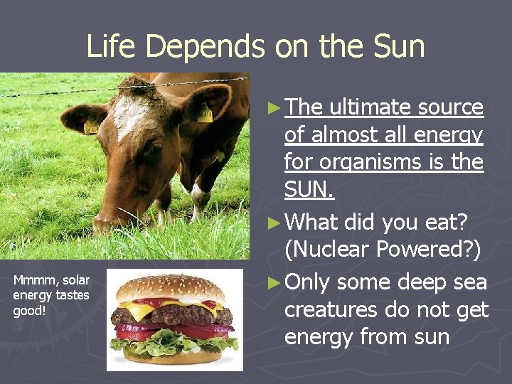 Life Depends on the Sun ► The Mmmm, solar energy tastes good! ultimate source Life Depends on the Sun ► The Mmmm, solar energy tastes good! ultimate source