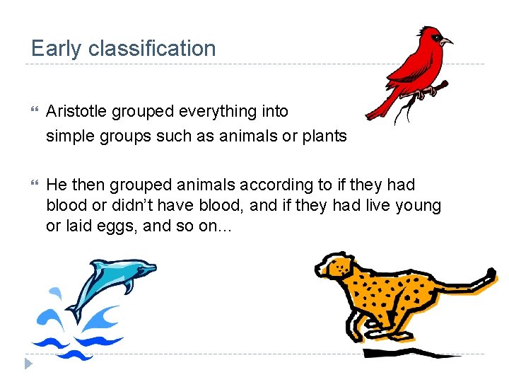 Early classification Aristotle grouped everything into simple groups such as animals or plants He Early classification Aristotle grouped everything into simple groups such as animals or plants He