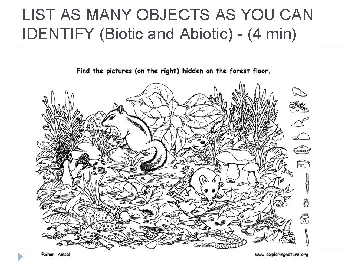 LIST AS MANY OBJECTS AS YOU CAN IDENTIFY (Biotic and Abiotic) - (4 min) LIST AS MANY OBJECTS AS YOU CAN IDENTIFY (Biotic and Abiotic) - (4 min)