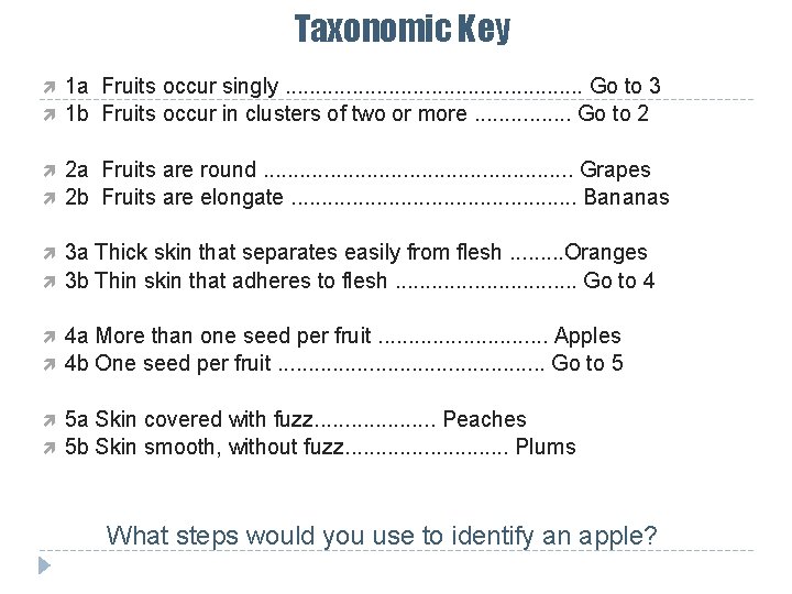 Taxonomic Key 1 a Fruits occur singly. . . Go to 3 1 b Taxonomic Key 1 a Fruits occur singly. . . Go to 3 1 b