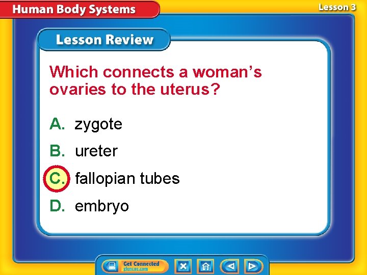 Which connects a woman’s ovaries to the uterus? A. zygote B. ureter C. fallopian