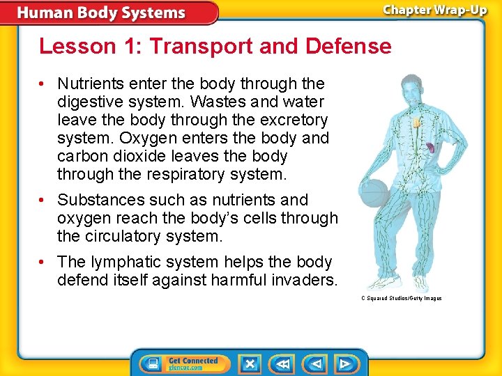 Lesson 1: Transport and Defense • Nutrients enter the body through the digestive system.