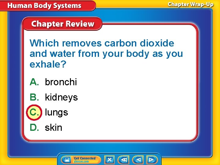 Which removes carbon dioxide and water from your body as you exhale? A. bronchi