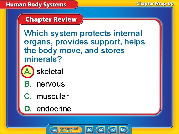 Which system protects internal organs, provides support, helps the body move, and stores minerals?