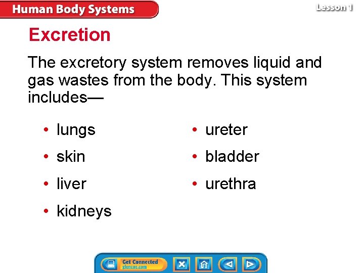 Excretion The excretory system removes liquid and gas wastes from the body. This system