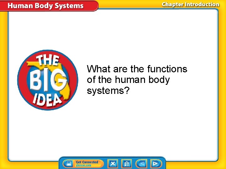 What are the functions of the human body systems? 