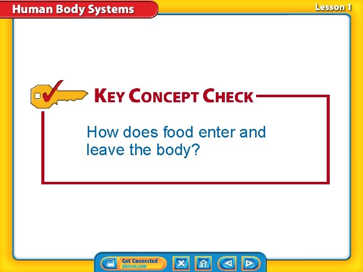 How does food enter and leave the body? 