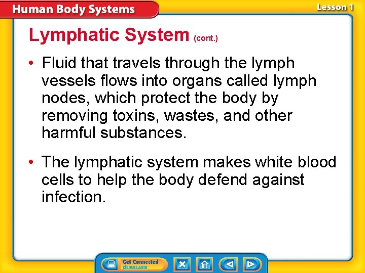 Lymphatic System (cont. ) • Fluid that travels through the lymph vessels flows into
