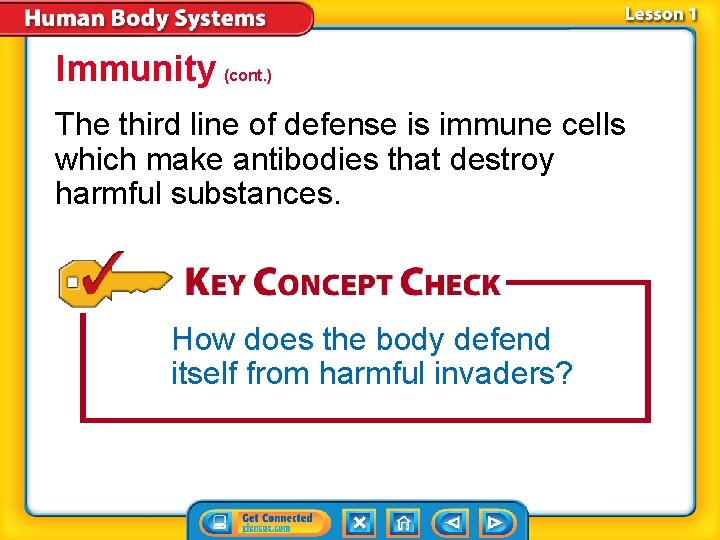 Immunity (cont. ) The third line of defense is immune cells which make antibodies