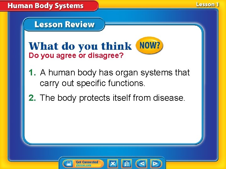 Do you agree or disagree? 1. A human body has organ systems that carry