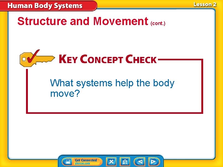 Structure and Movement (cont. ) What systems help the body move? 