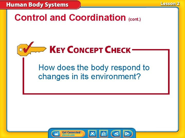 Control and Coordination (cont. ) How does the body respond to changes in its
